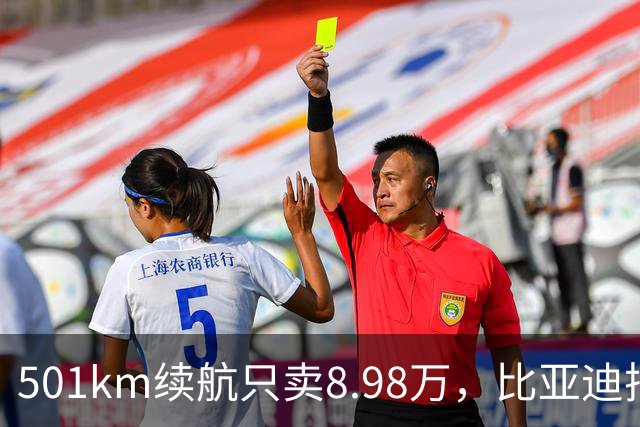 501km续航只卖8.98万，比亚迪把长续航打到了10万内